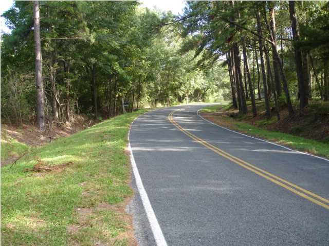2 Mauss Hill Road Adams Run, SC 29426 - Photo 1 of 12 Primary Photo