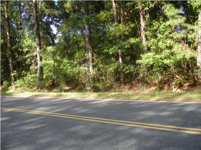 2 Mauss Hill Road Adams Run, SC 29426 - Photo 3 of 12 Additional Photo