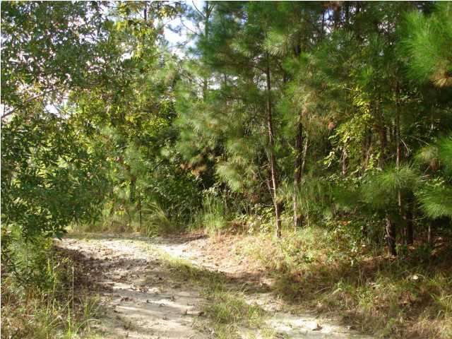 2 Mauss Hill Road Adams Run, SC 29426 - Photo 4 of 12 Additional Photo