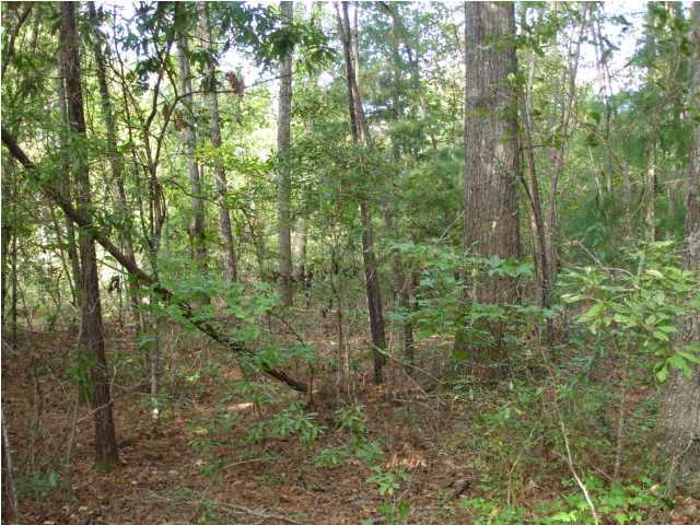 2 Mauss Hill Road Adams Run, SC 29426 - Photo 8 of 12 Additional Photo