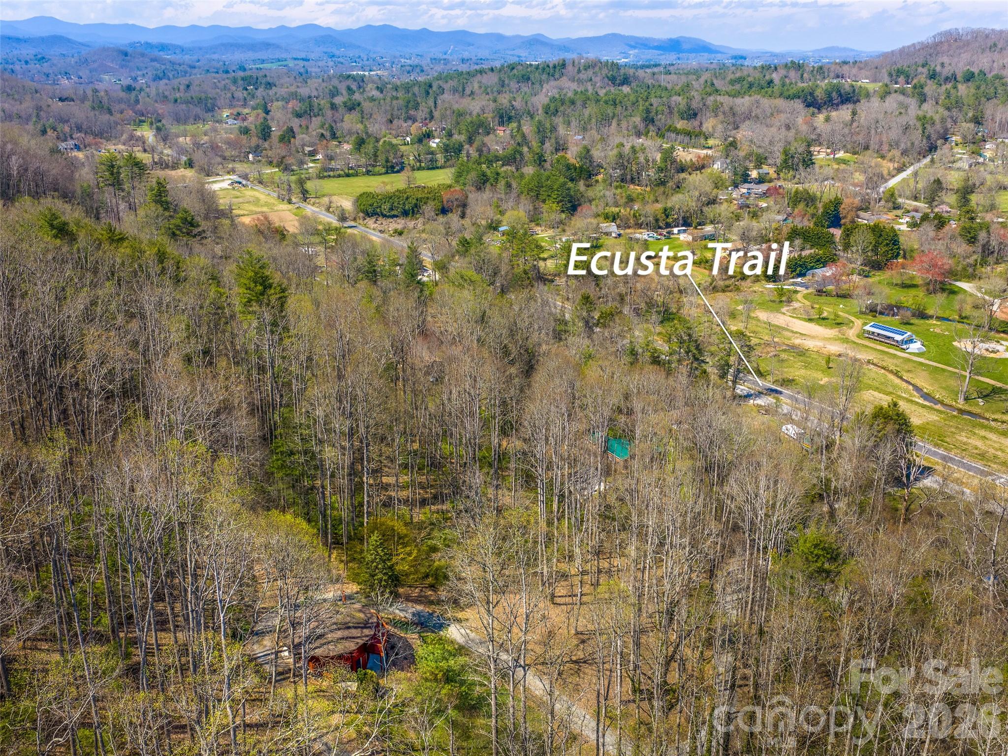 53 Yale Road Hendersonville, NC 28739 - Photo 6 of 40