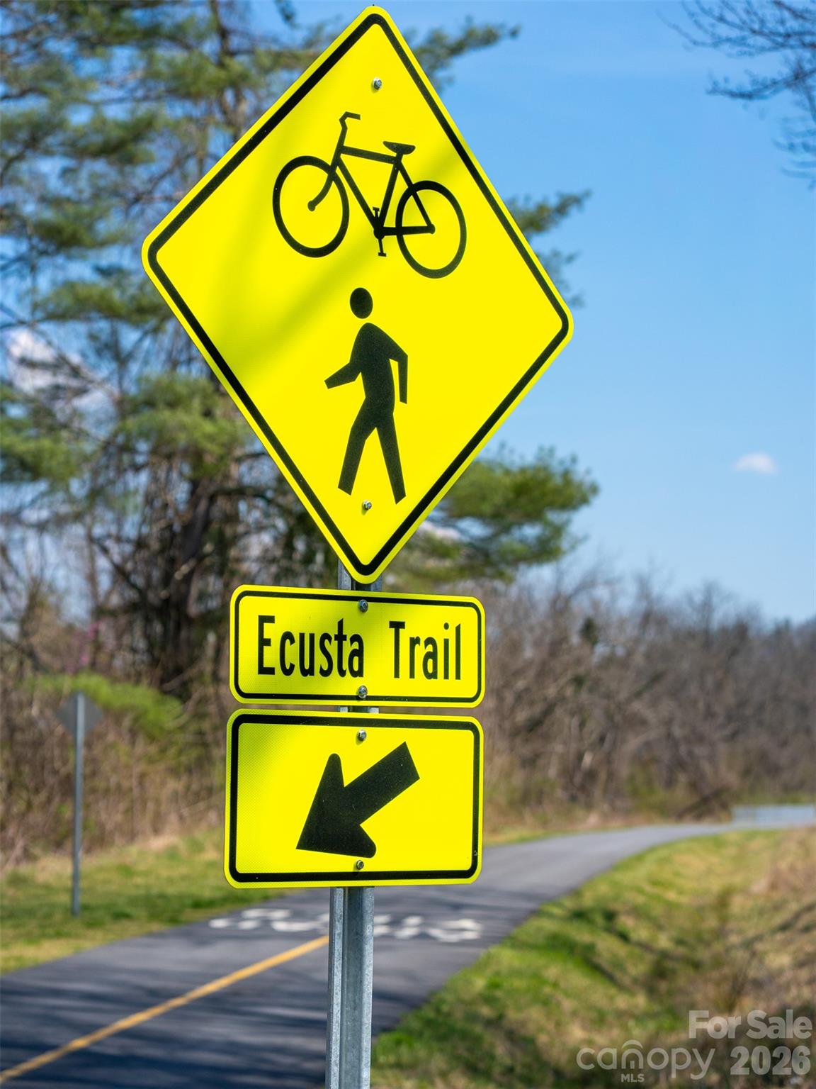 53 Yale Road Hendersonville, NC 28739 - Photo 7 of 40