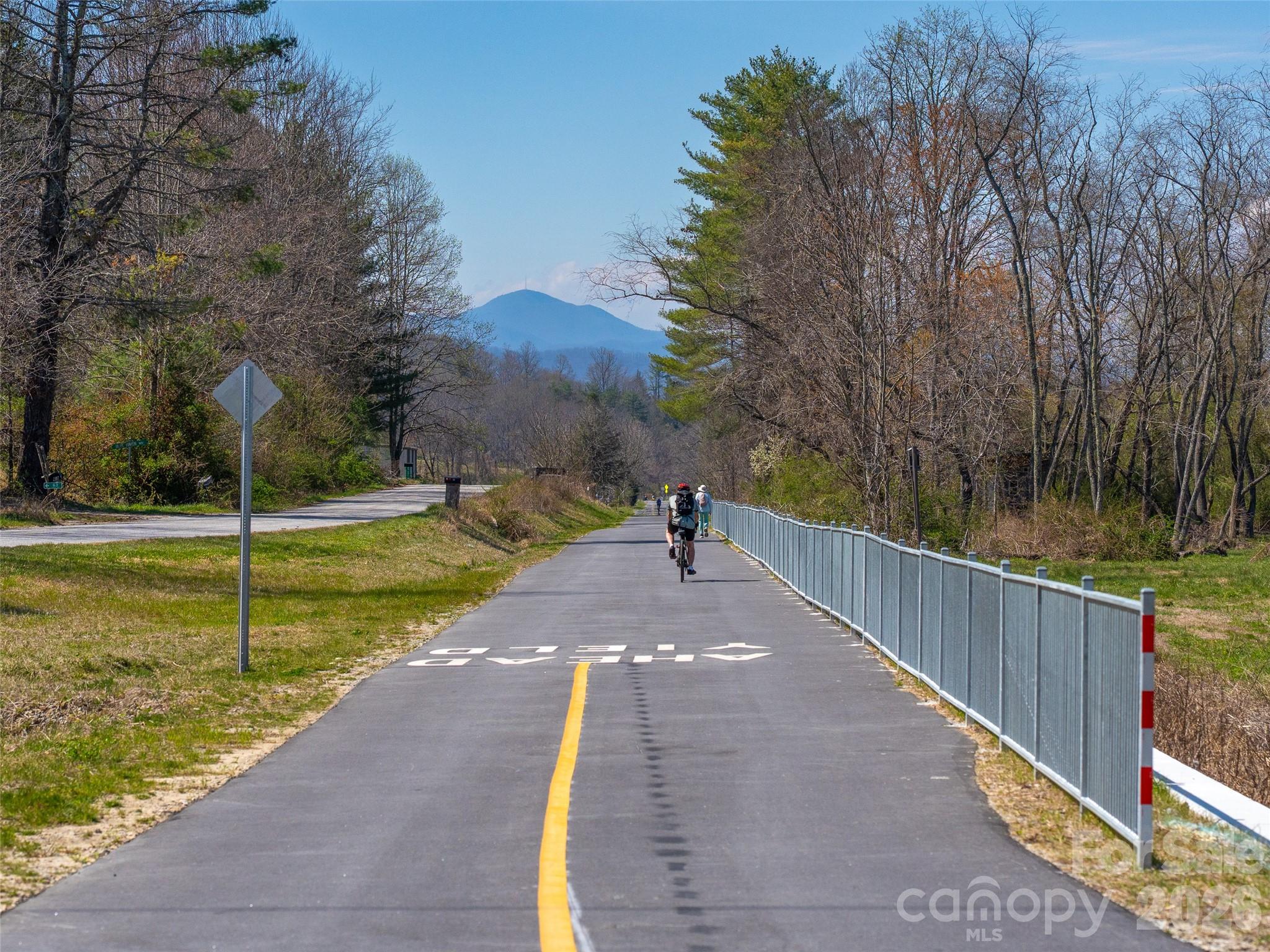 53 Yale Road Hendersonville, NC 28739 - Photo 8 of 40