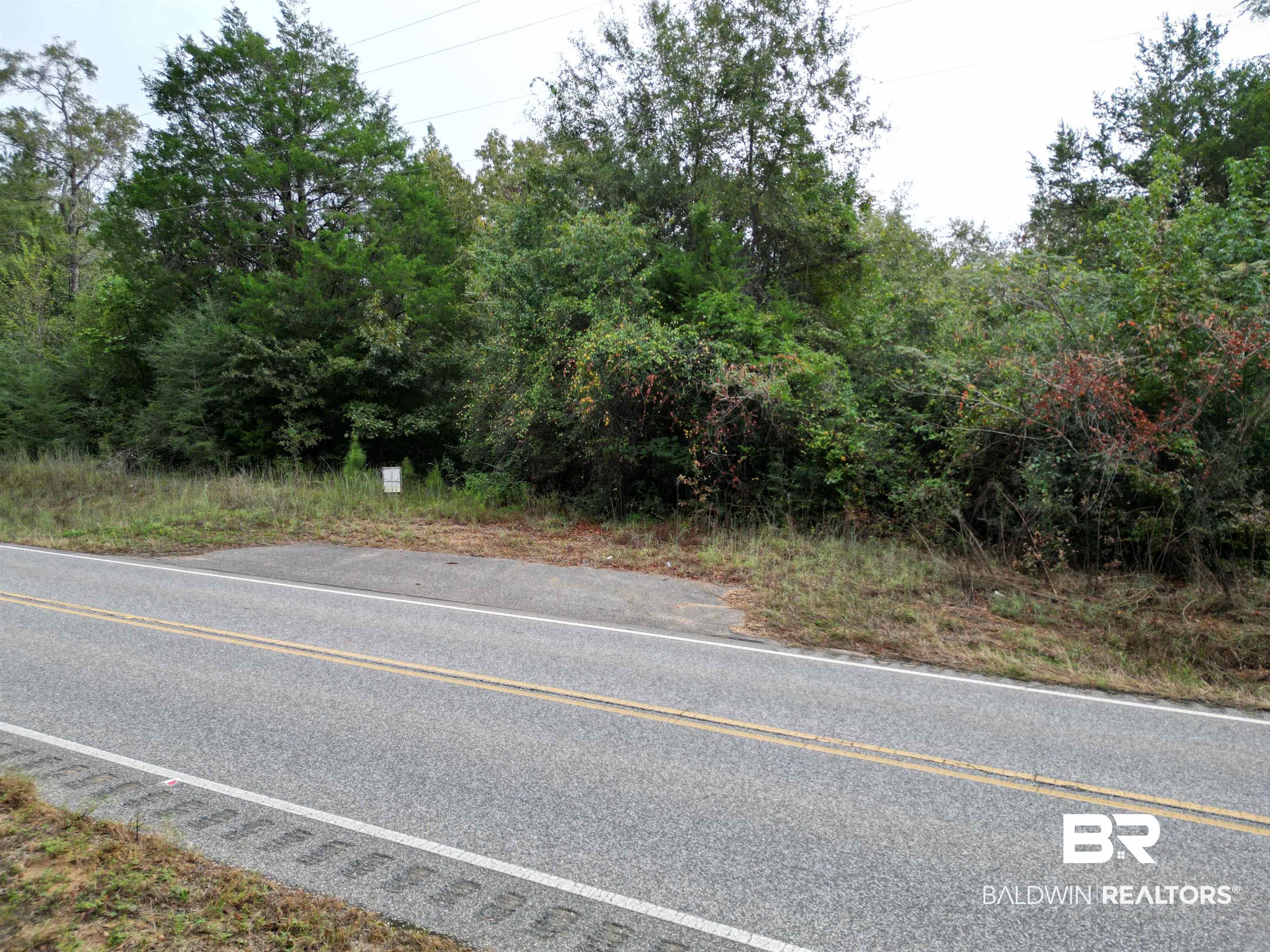 17606 Highway 41 Brewton, AL 36426 - Photo 7 of 13 View of asphalt street
