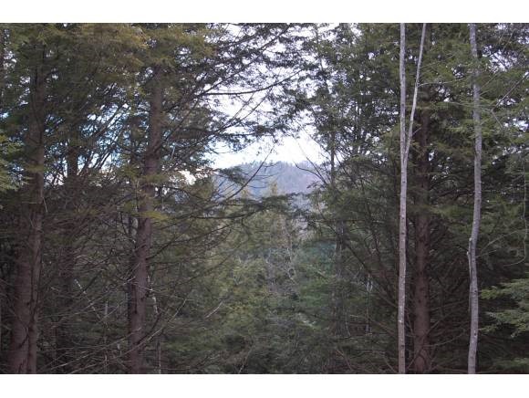 0 Lockwood Road Andover, NH 03216 - Photo 1 of 1 Gallery Image 1