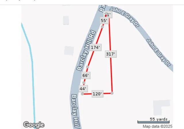 a view of a forest filled with trees