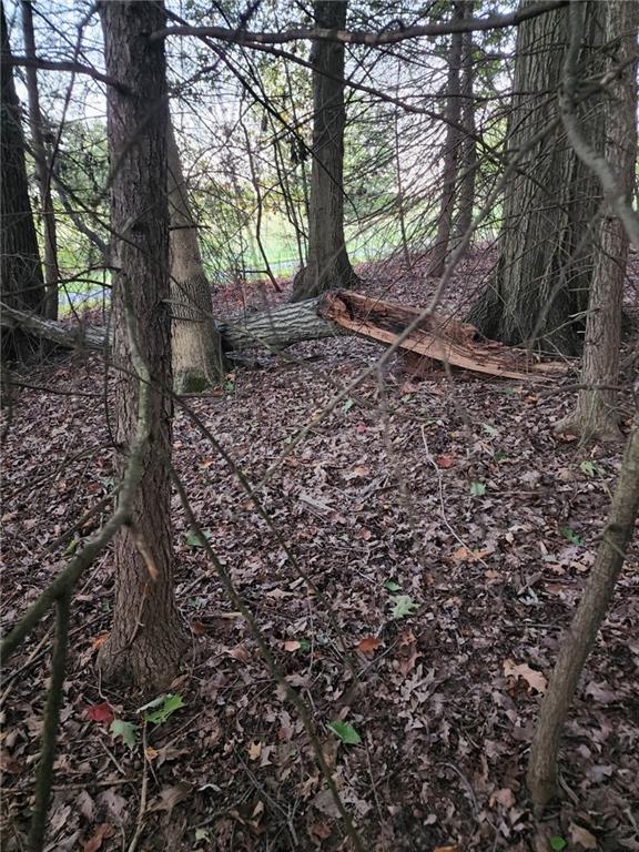 0 Barclay Hill Road Beaver, PA 15009 - Photo 3 of 6 a view of a forest filled with trees
