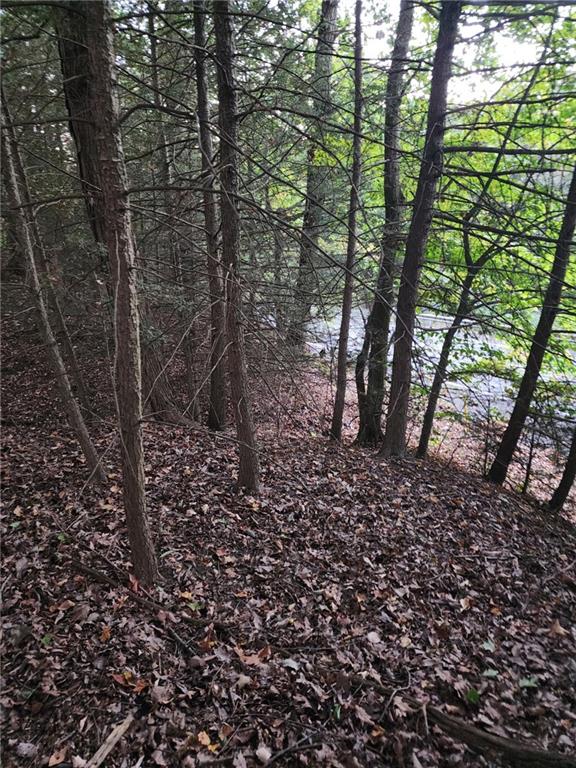 0 Barclay Hill Road Beaver, PA 15009 - Photo 4 of 6 a view of a forest filled with trees