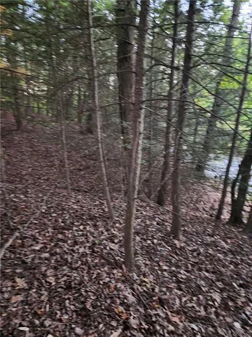 $25,000 | 0 Barclay Hill Road, Beaver, PA 15009