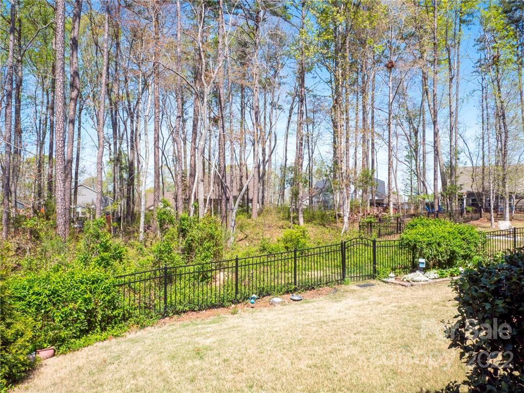 1137 Ellington Downs Way Monroe, NC 28110 - Photo 23 of 23 a view of a backyard of a house