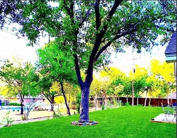 a view of backyard with patio and outdoor seating