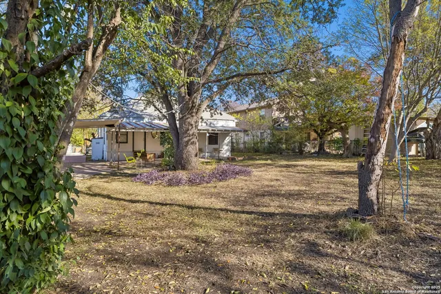 a view of road with large trees