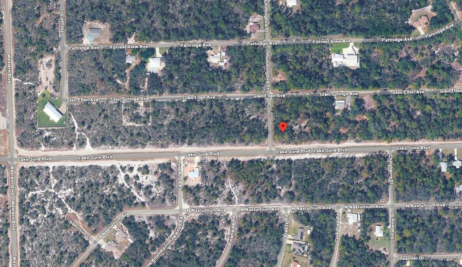 1001 Hummingbird Street Lake Placid, FL 33852 - Photo 2 of 4 a view of a small pool