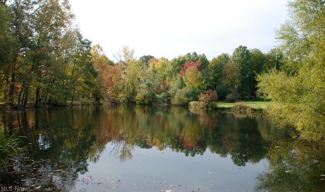 33250 Jackson Road Chagrin Falls, OH 44022 - Photo 2 of 3 Private stocked pond with this tranquil setting!