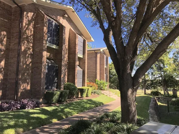 a tree in the middle of a building