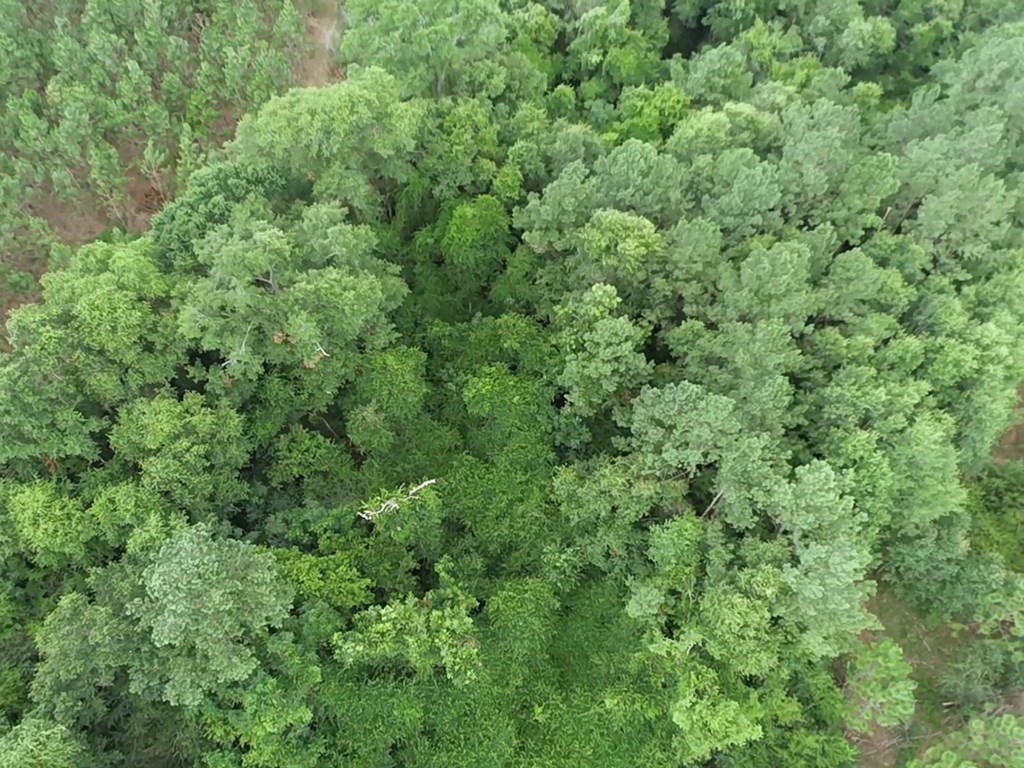 75/ Nuclear Plant Road Columbia, AL 36319 - Photo 27 of 34