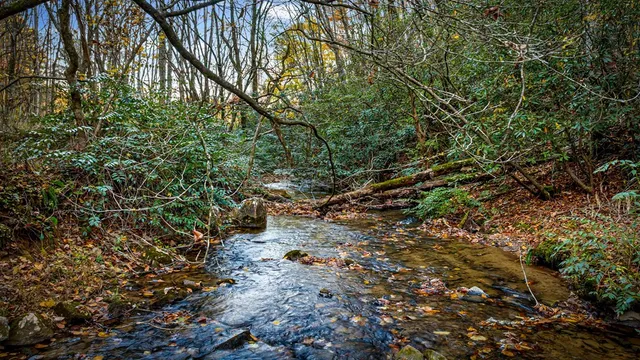 $410,000 | 90 Hay Lane, Morganton, GA 30560