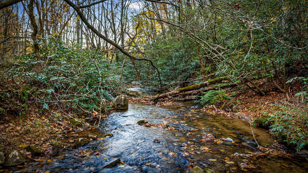90 Hay Lane Morganton, GA 30560 - Photo 2 of 77