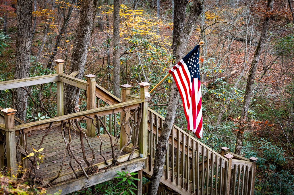 90 Hay Lane Morganton, GA 30560 - Photo 55 of 77 a view of stairs and an trees
