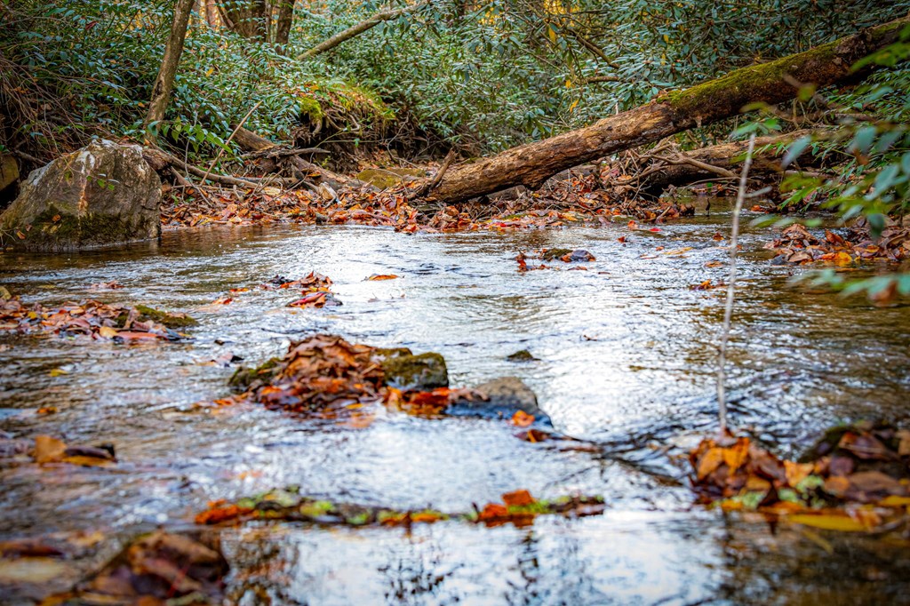90 Hay Lane Morganton, GA 30560 - Photo 57 of 77