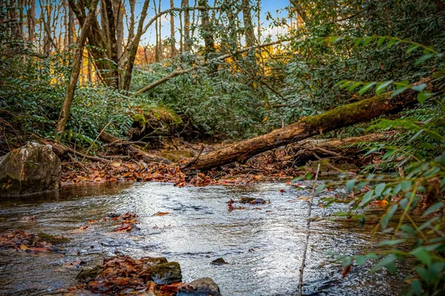 $410,000 | 90 Hay Lane, Morganton, GA 30560