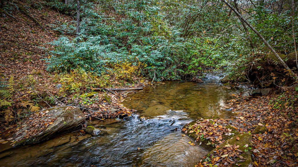 90 Hay Lane Morganton, GA 30560 - Photo 59 of 77