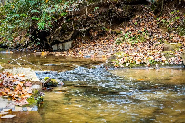 $410,000 | 90 Hay Lane, Morganton, GA 30560