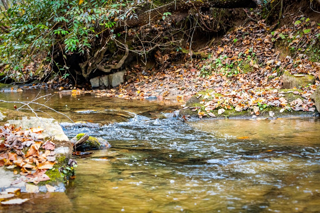 90 Hay Lane Morganton, GA 30560 - Photo 64 of 77