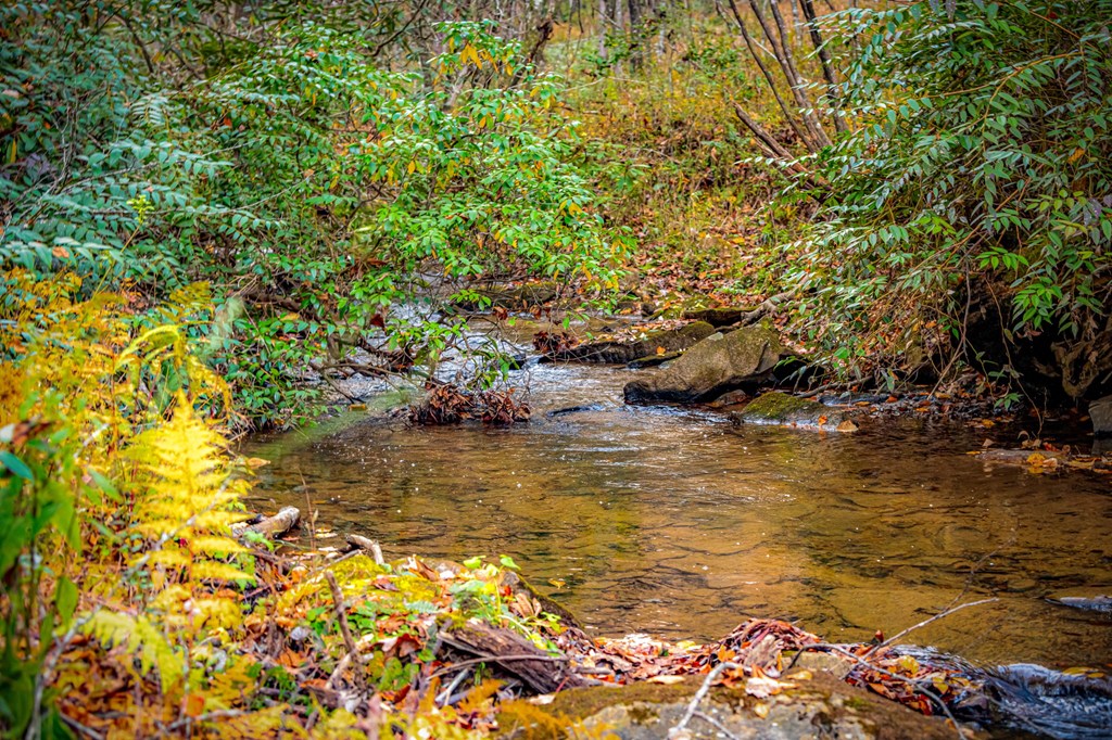 90 Hay Lane Morganton, GA 30560 - Photo 65 of 77
