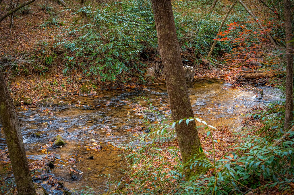 90 Hay Lane Morganton, GA 30560 - Photo 67 of 77