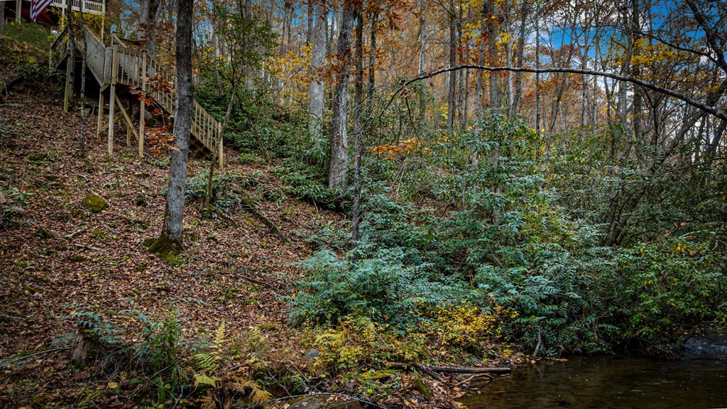 90 Hay Lane Morganton, GA 30560 - Photo 68 of 77 a view of a water pond with lots of trees