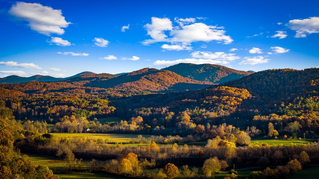 90 Hay Lane Morganton, GA 30560 - Photo 73 of 77 a view of a city with lots of green space