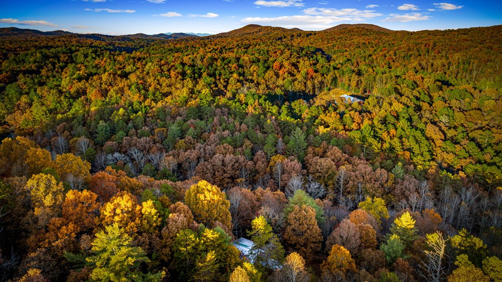 90 Hay Lane Morganton, GA 30560 - Photo 74 of 77