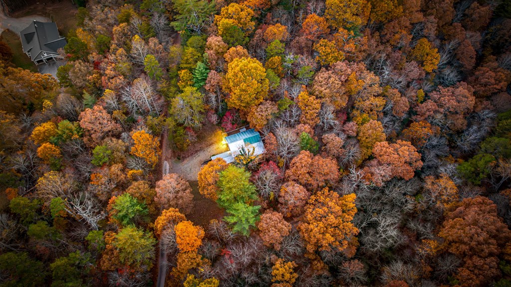 90 Hay Lane Morganton, GA 30560 - Photo 76 of 77 a view of a house