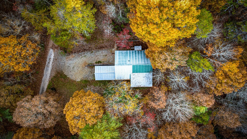 90 Hay Lane Morganton, GA 30560 - Photo 77 of 77 a front view of a house with a yard