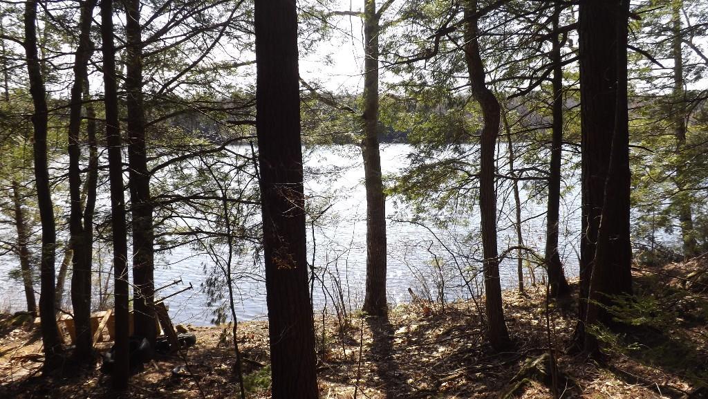 47 Pitcher Road Northport, ME 04849 - Photo 31 of 35 property includes a lot on Pitcher...