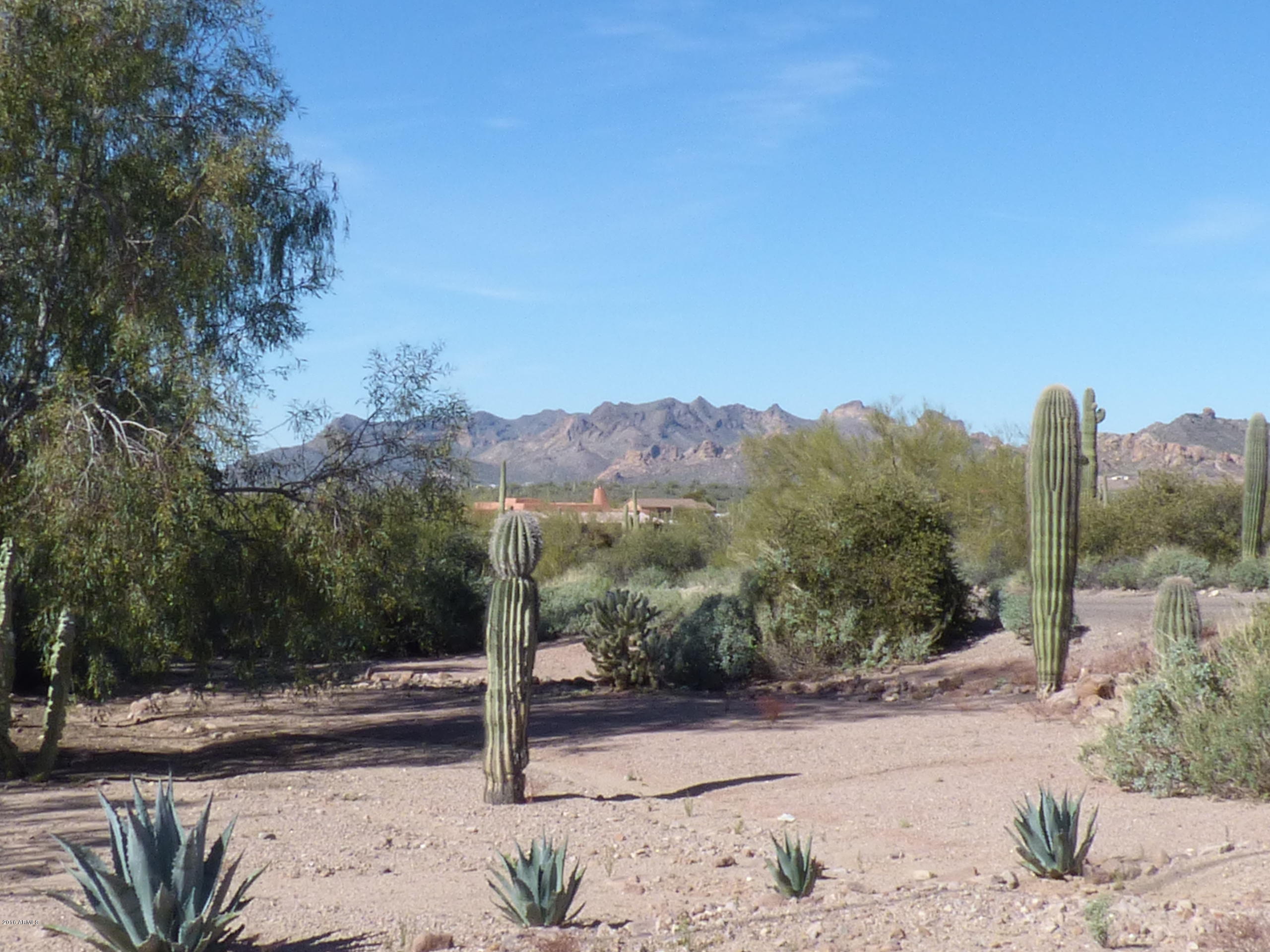 2970 North Geronimo Road Apache Junction, AZ 85119 - Photo 12 of 38 2015-01-28 12.03.39