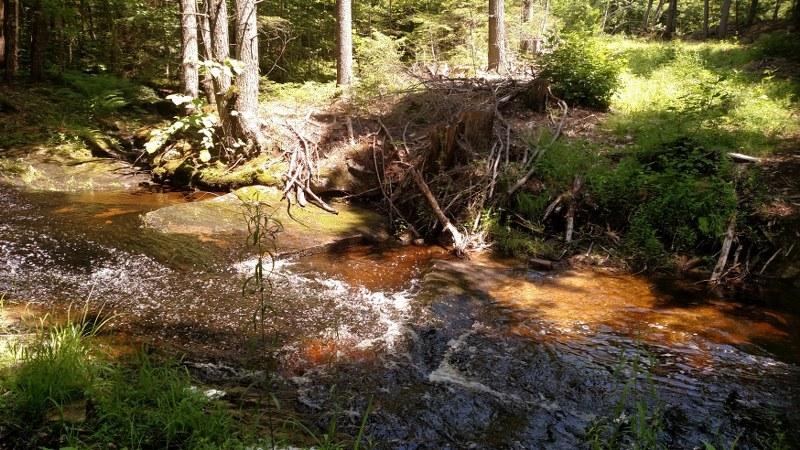 0 Grist Mill Road Bridgton, ME 04009 - Photo 10 of 48 15 brook
