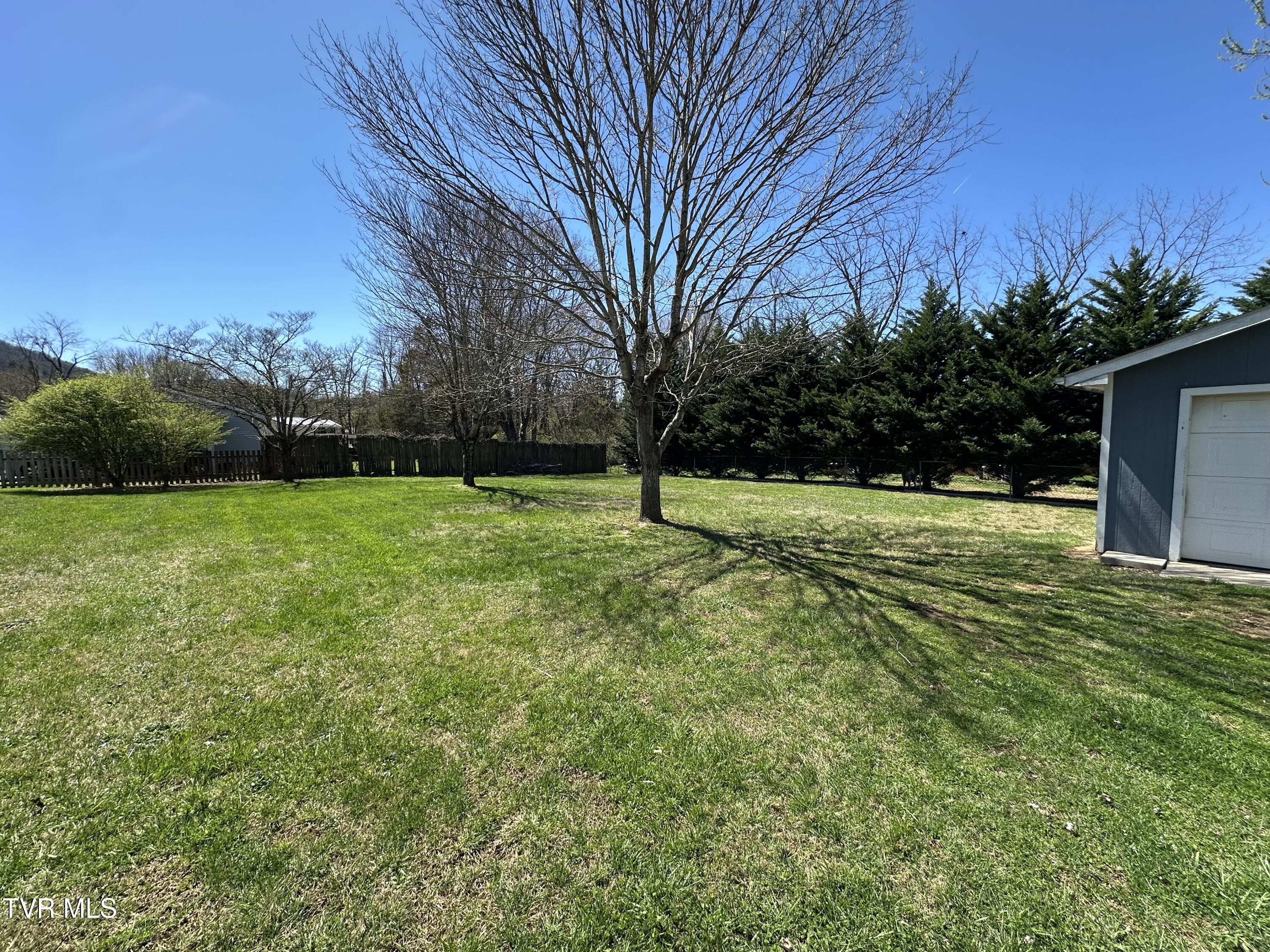 106 Buffalo Court Erwin, TN 37650 - Photo 5 of 20 Level Yard