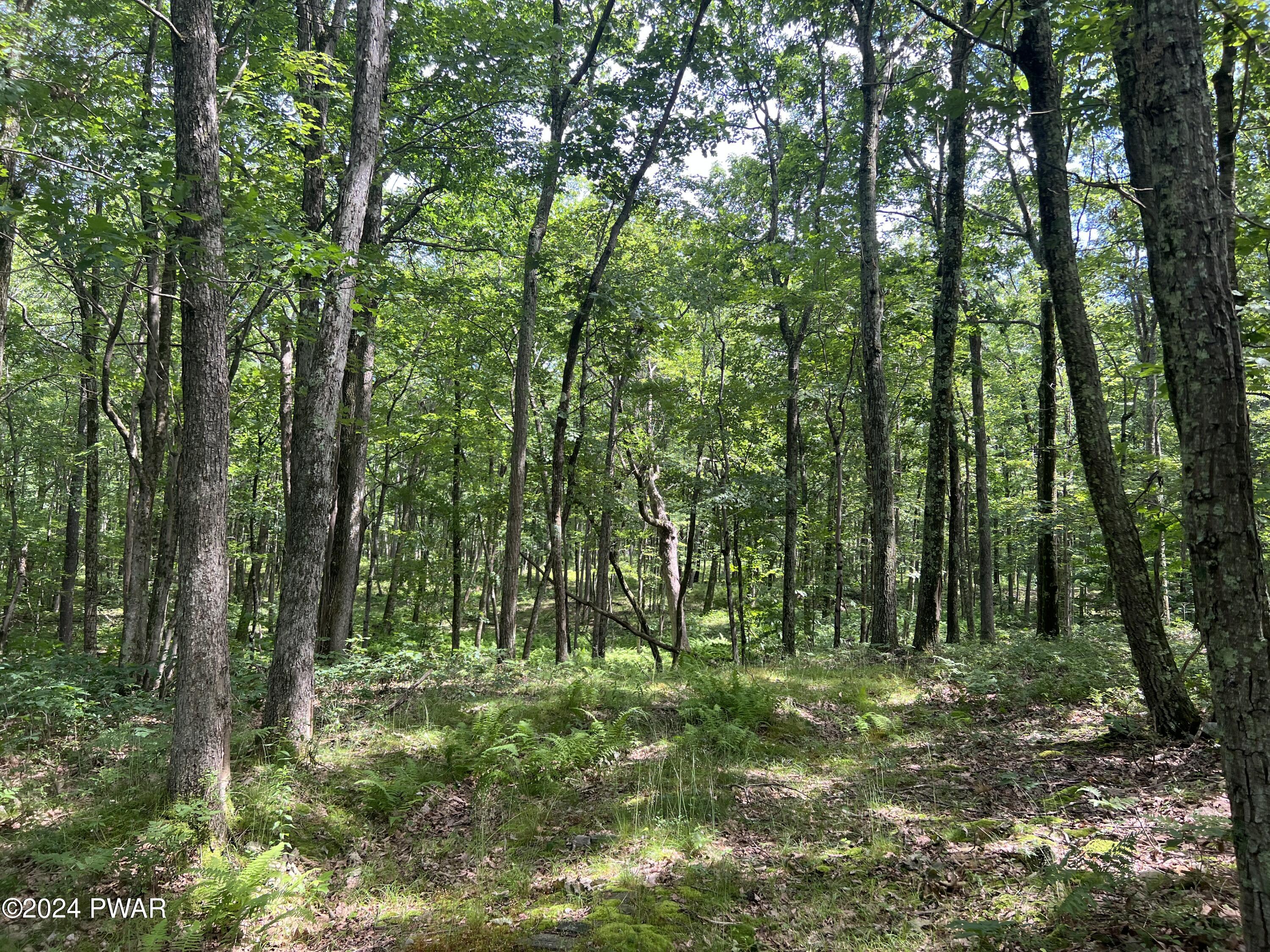 Bloss Road Canadensis, PA 18325 - Photo 1 of 21 Wooded Land