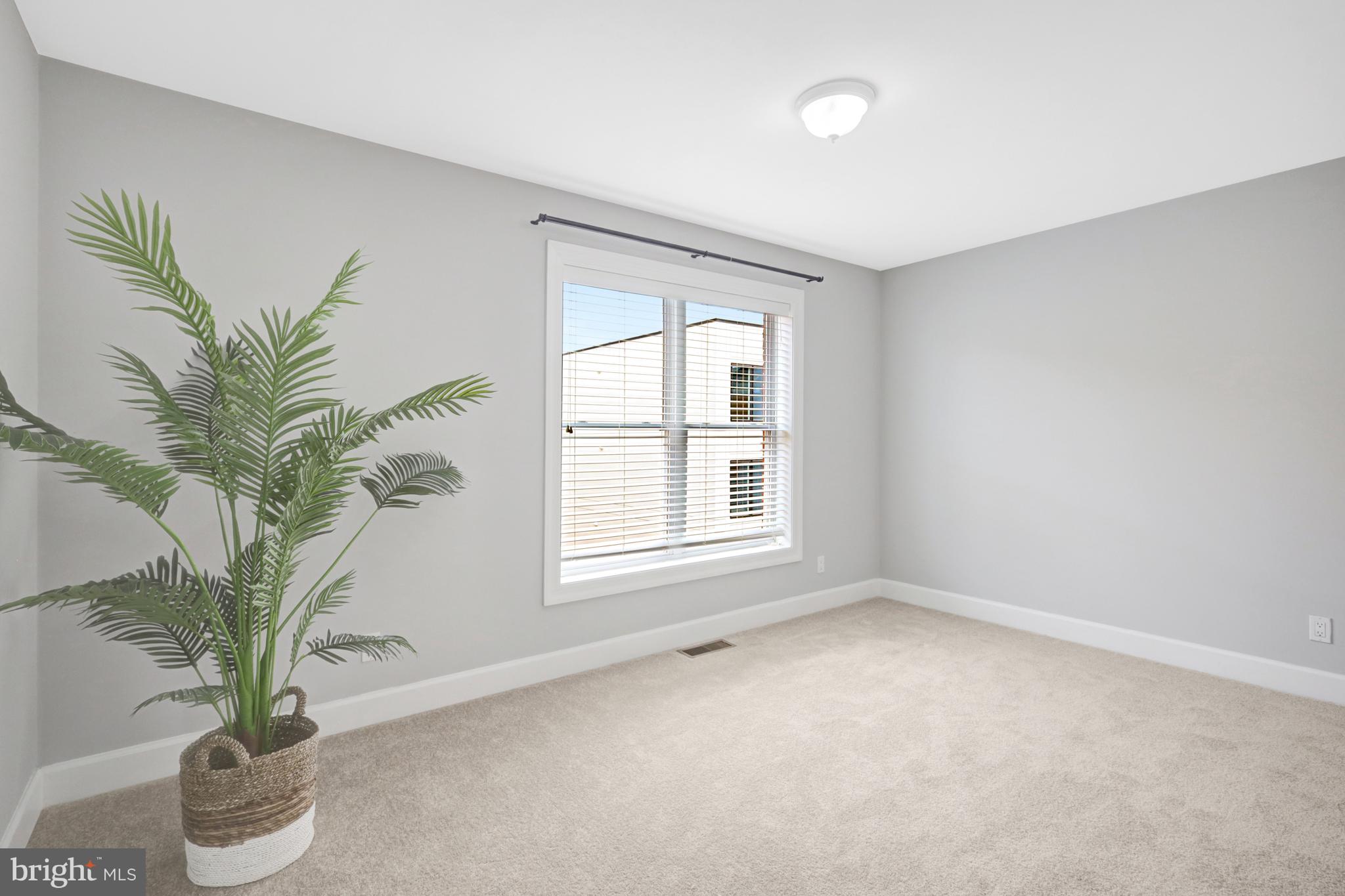 927 12th Street Northeast Washington, DC 20002 - Photo 11 of 24 Bed #5 - all new carpeting