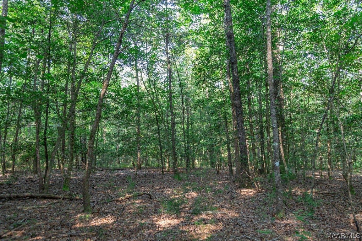 18.5-acres Free Road Brantley, AL 36009 - Photo 12 of 30 Gallery Image 12