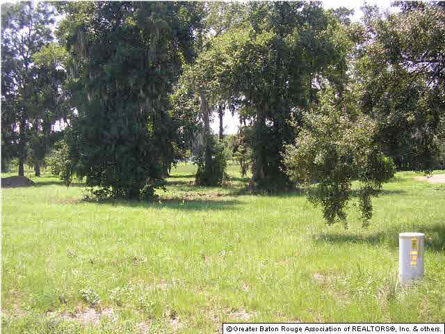 11419 Denham Road Gonzales, LA 70737 - Photo 4 of 5 Gallery Image 4