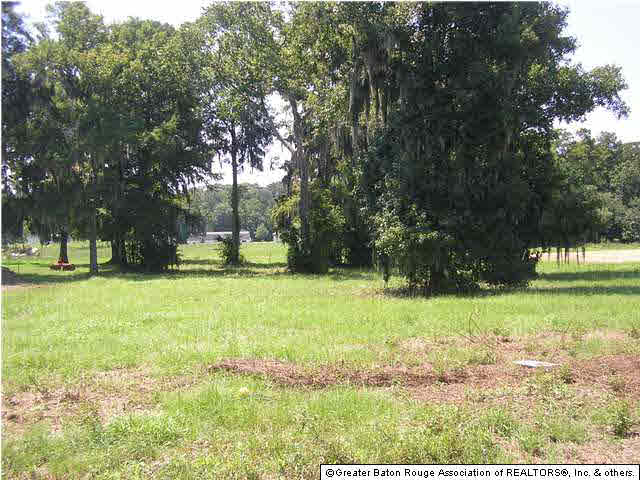 11419 Denham Road Gonzales, LA 70737 - Photo 5 of 5 Gallery Image 5