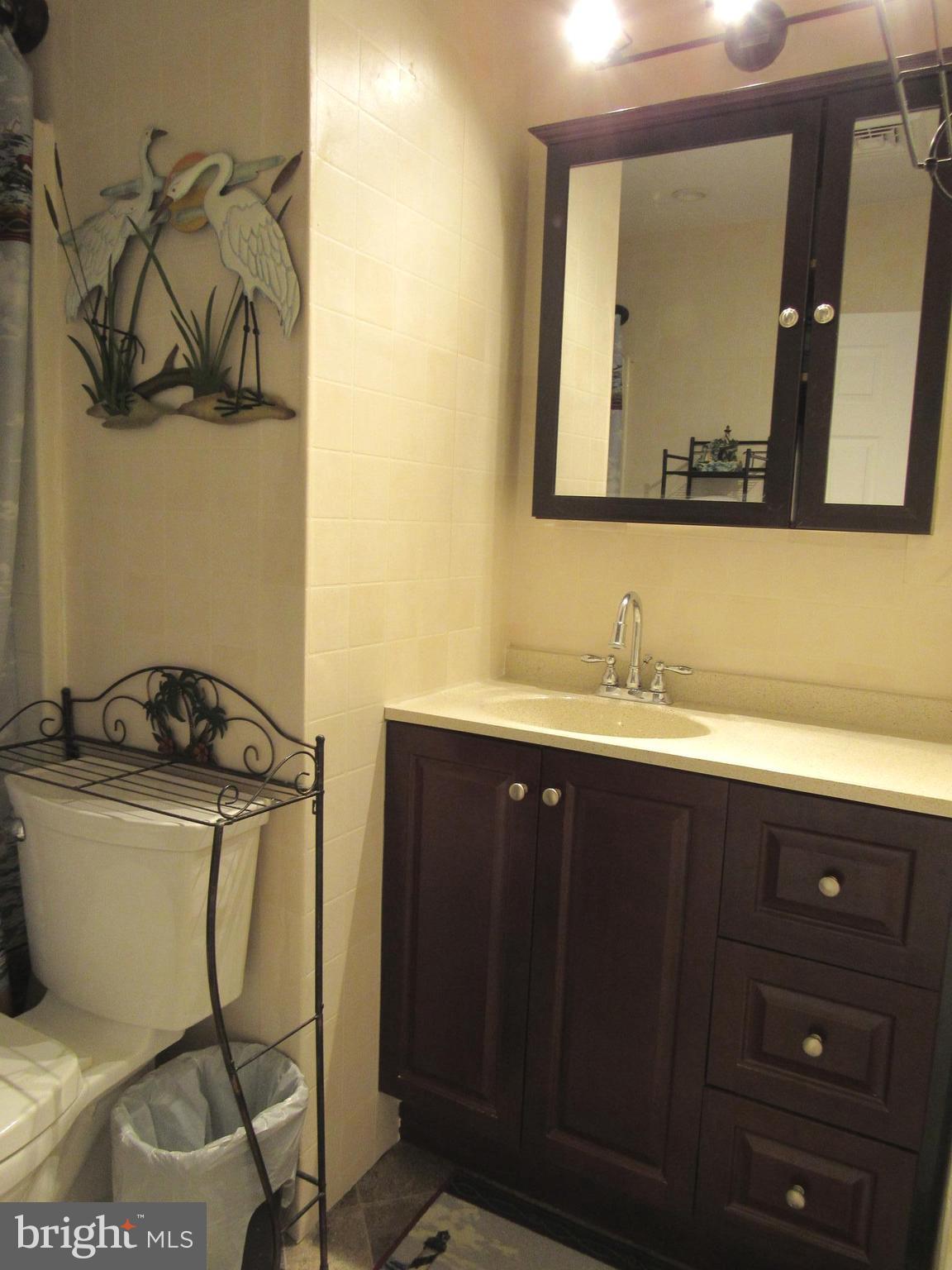 105 Mitchell Street Elkton, MD 21921 - Photo 22 of 30 REMODELED FULL BATH HALLWAY