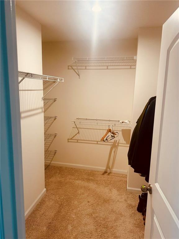 738 Olivia Street Pittsburgh, PA 15205 - Photo 13 of 13