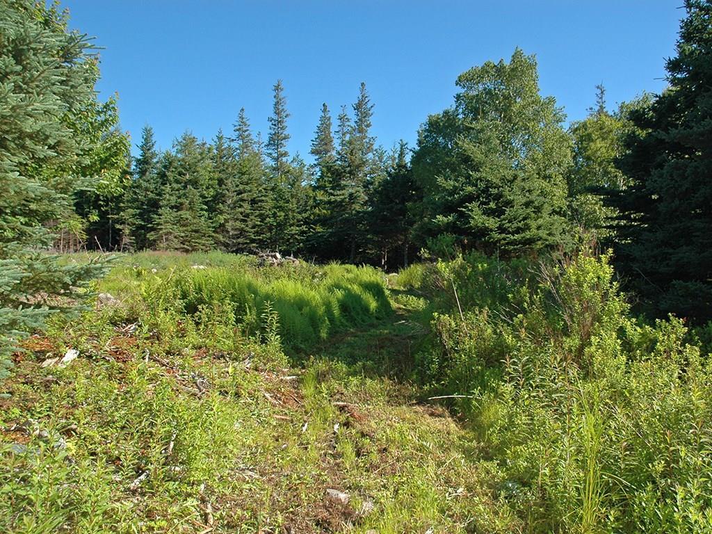 0 Rose Hill Road Swans Island, ME 04685 - Photo 11 of 19 Photo