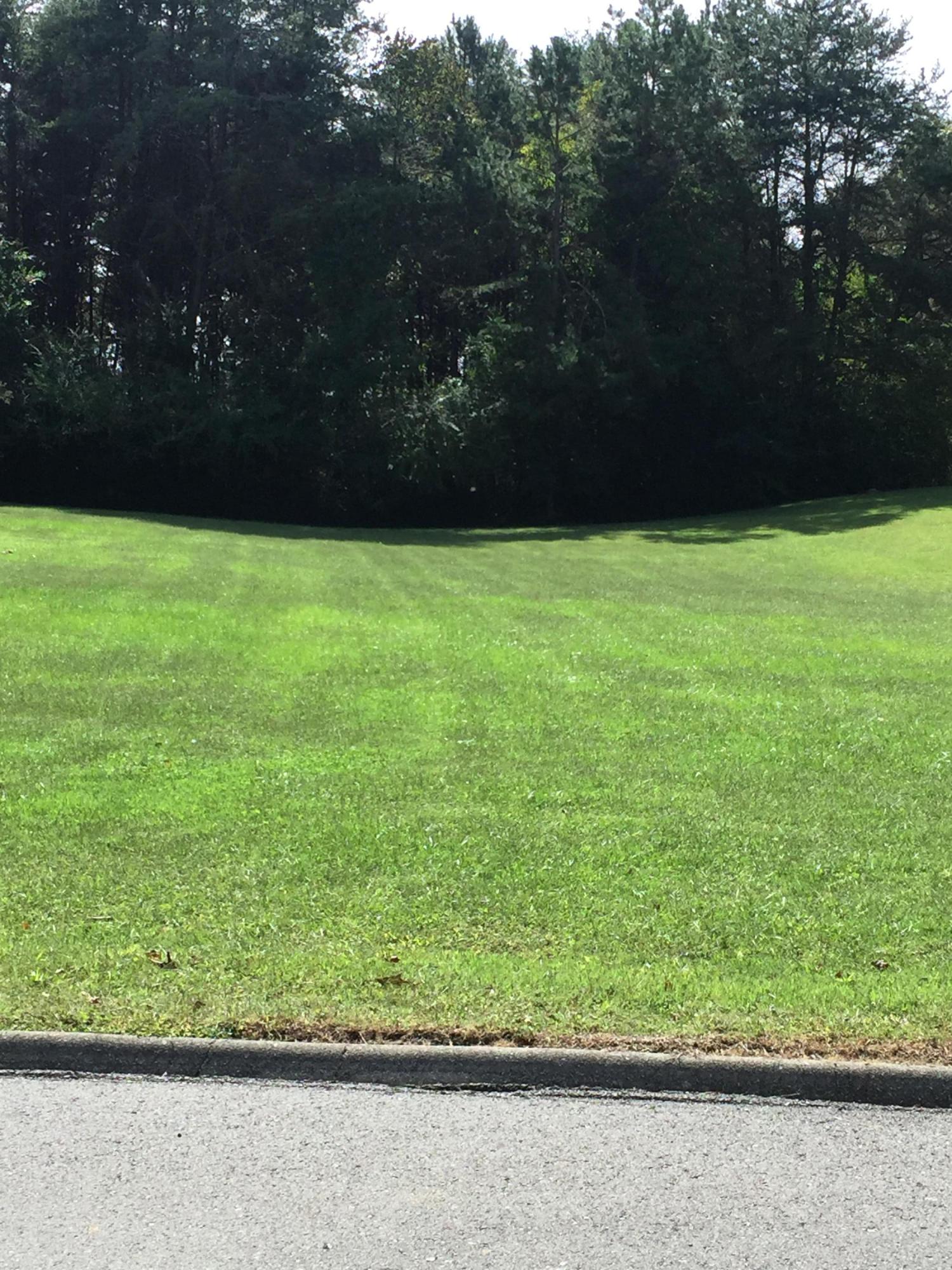 Lot 15 Chestnut Ridge Road Oak Ridge, TN 37830 - Photo 2 of 2 image