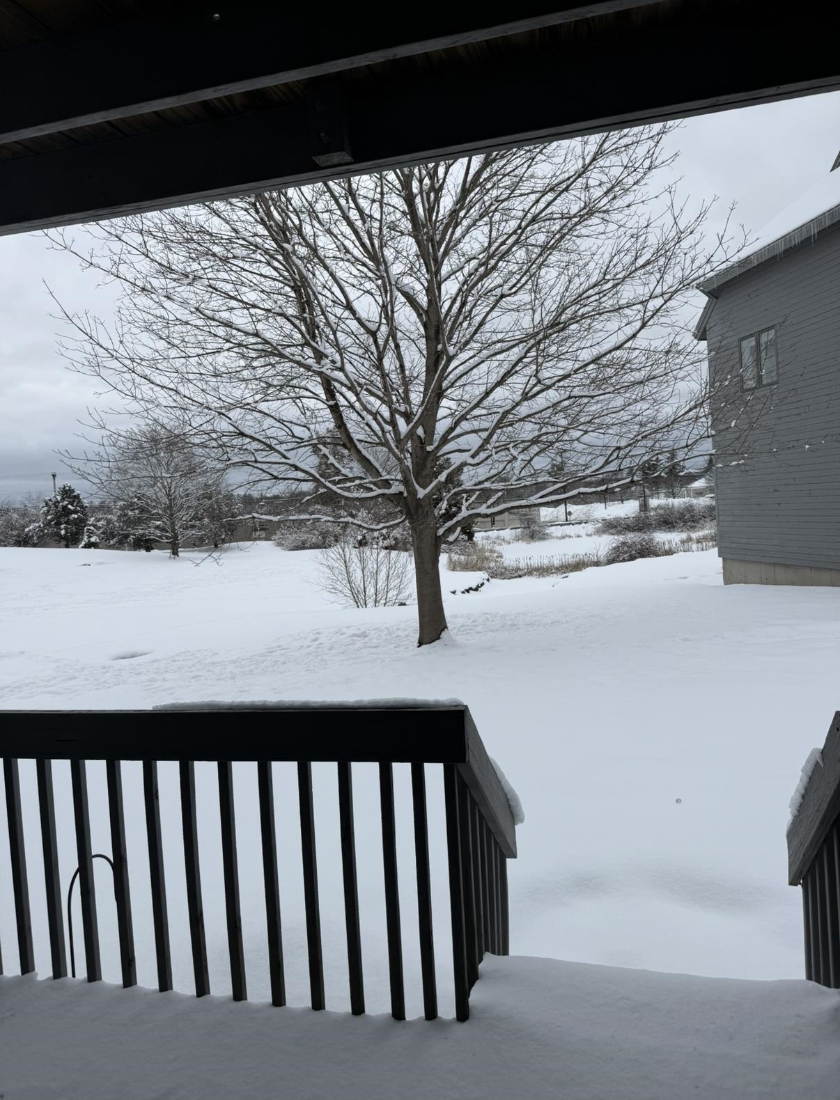 5 Tsienneto Road, Unit 136 Derry, NH 03038 - Photo 15 of 17