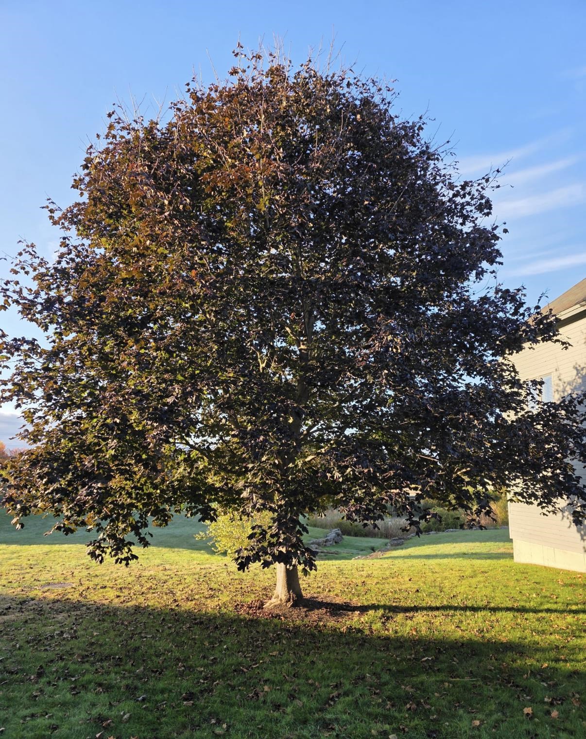 5 Tsienneto Road, Unit 136 Derry, NH 03038 - Photo 16 of 17